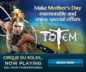 TOTEM by Cirque du Soleil in San Diego | Mama Likes This