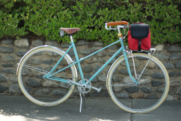 pet carrier bike rack