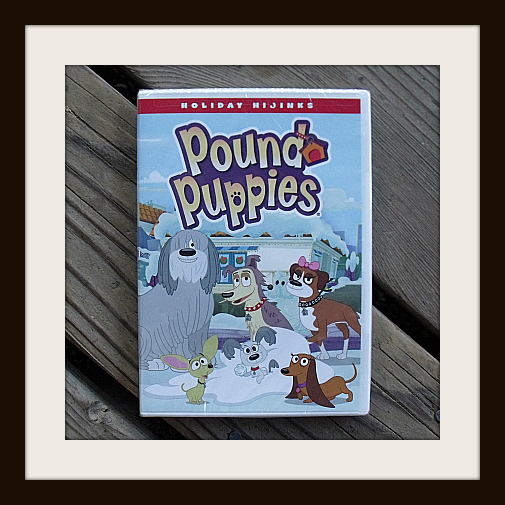 Pound Puppies: Holiday Hijinks DVD