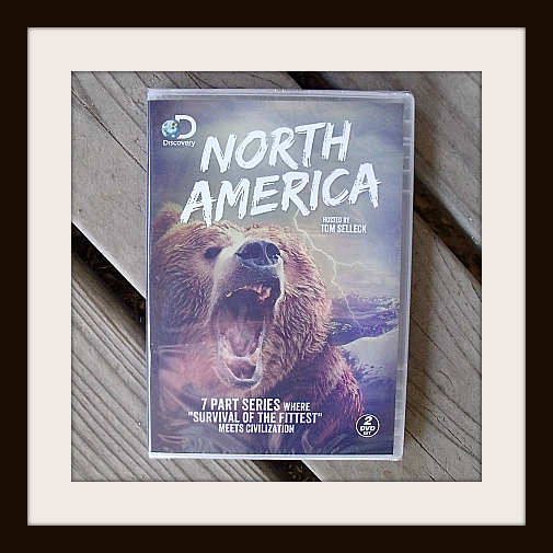 Discovery Channel North America DVD