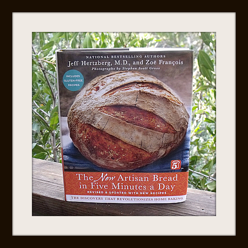 Artisan Bread in 5 Minutes a Day