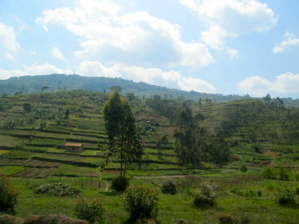 Rwanda