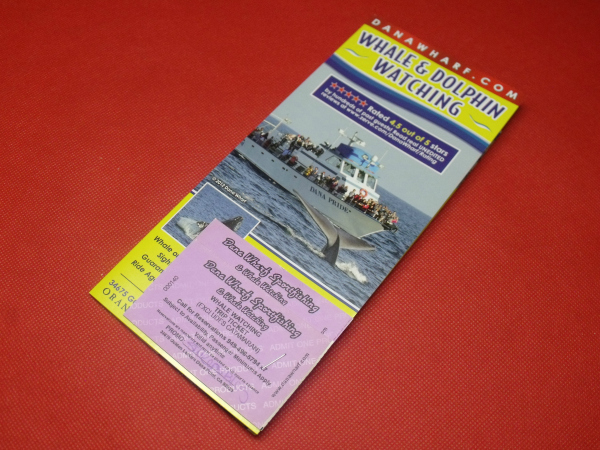 Dana Wharf Whale Watching Tickets