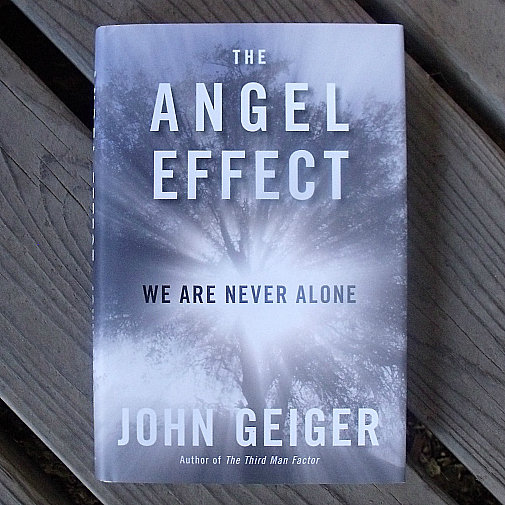 The Angel Effect by John Geiger 