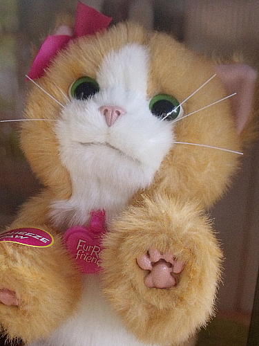 fur real friends cat daisy