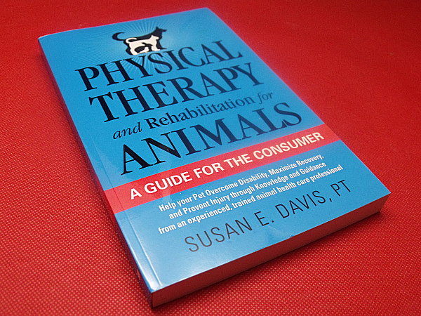 Physical Therapy and Rehabilitation for Animals