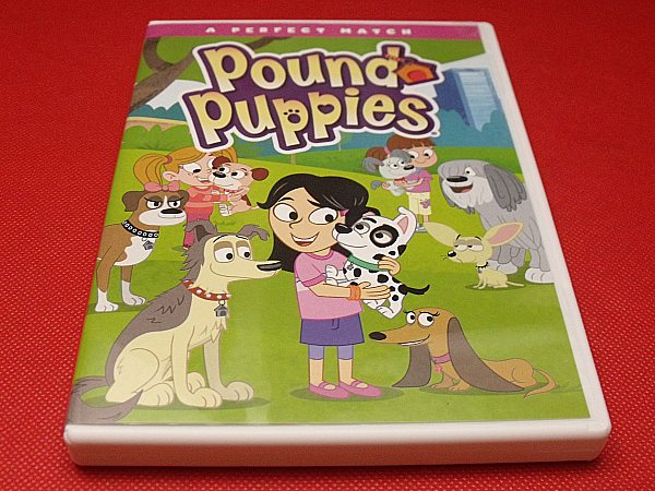 Pound Puppies: A Perfect Match DVD