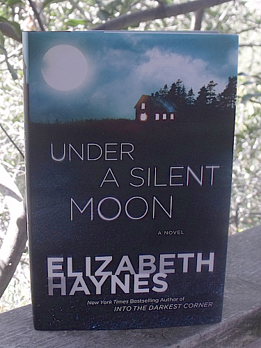 Under a Silent Moon by Elizabeth Haynes