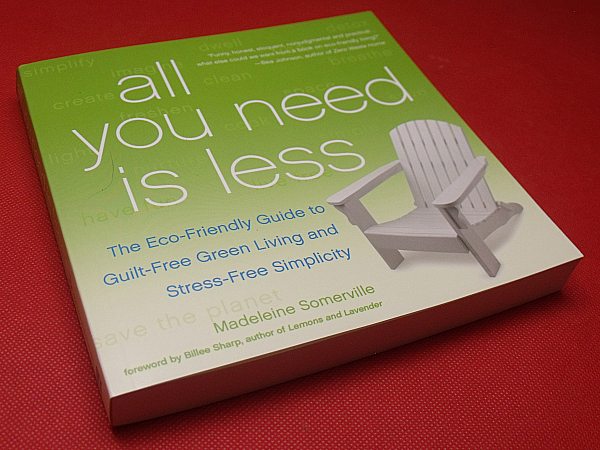 All You Need Is Less by Madeleine Somerville