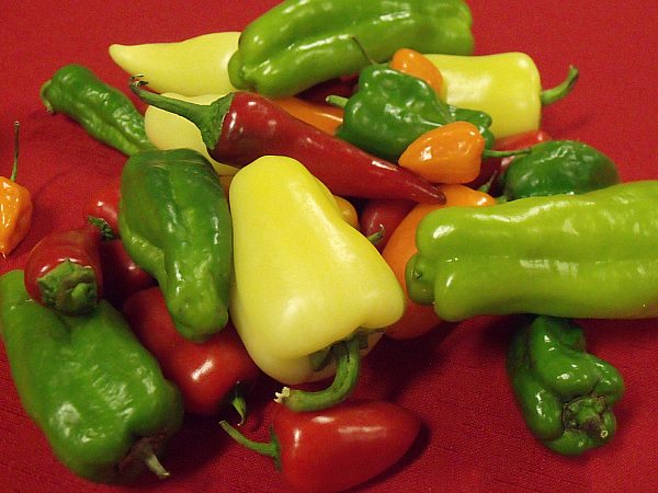 Melissa's Chile Peppers