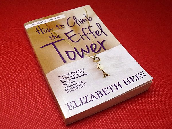 How To Climb The Eiffel Tower by Elizabeth Hein