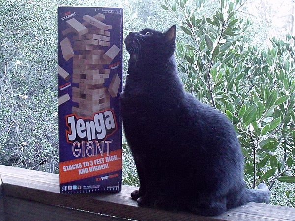 Jenga Giant Wood Stacking Game