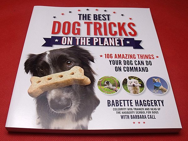 The Best Dog Tricks on The Planet