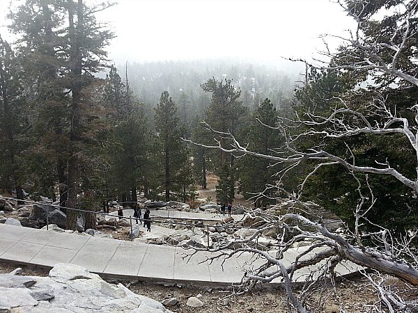 Palm Springs Aerial Tramway | Mama Likes This