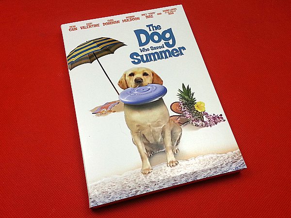 The Dog Who Saved Summer DVD