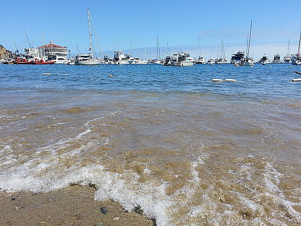 Catalina Island