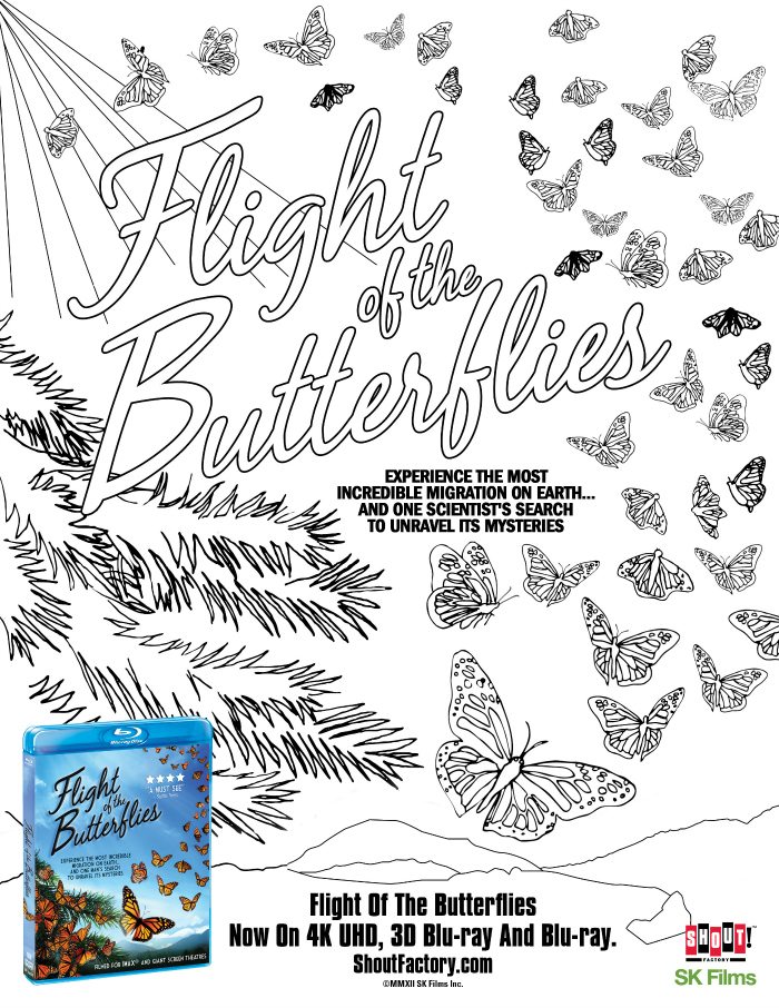 Flight of The Butterflies Coloring Page Mama Likes This