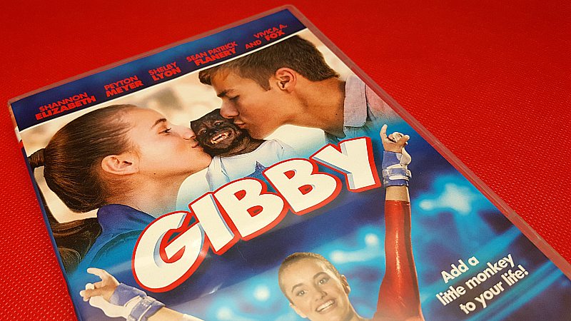 Gibby DVD