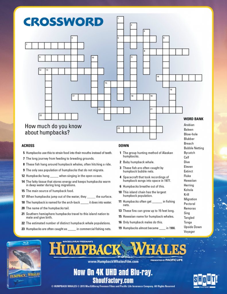 Humpback Whales Printable Crossword Activity Page Mama Likes This