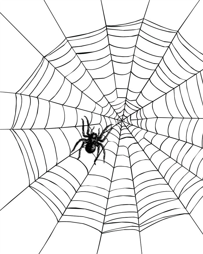 Spider within just a Spiderweb Printable Coloring Web site Mama Likes This photograph about Spider Web Printable identify Spider inside of a Spiderweb Printable Coloring Website page Mama Likes This