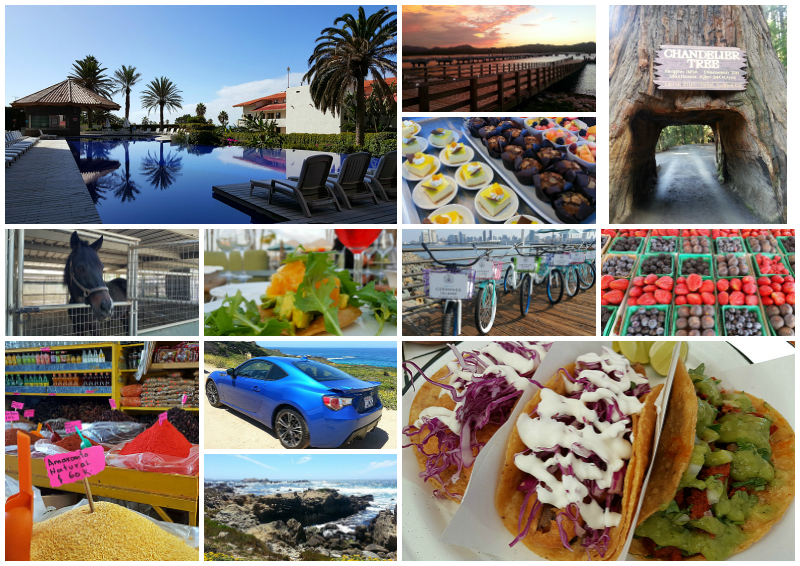 Food and Travel Blogger Year in Review - Where I went, where I slept, what I ate and what I did!
