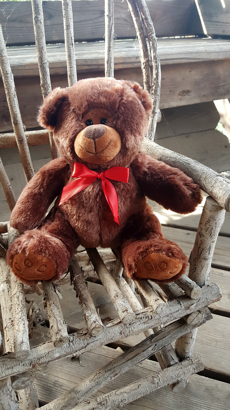 teddy bear with chocolate gift