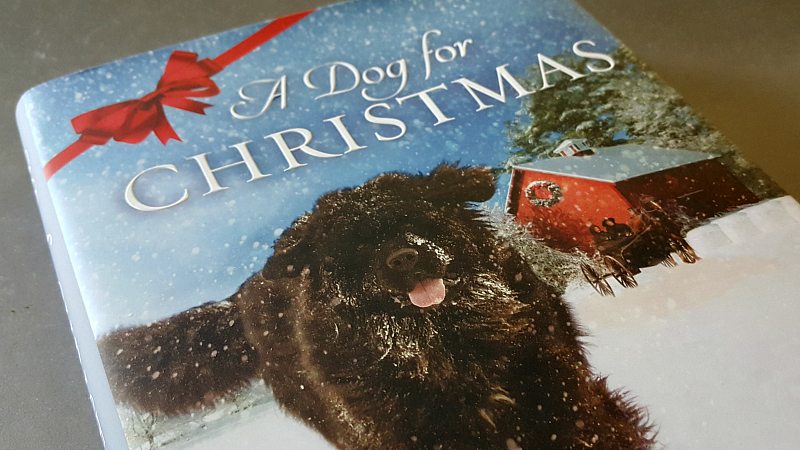 Dog for Christmas Holiday Gift Guide