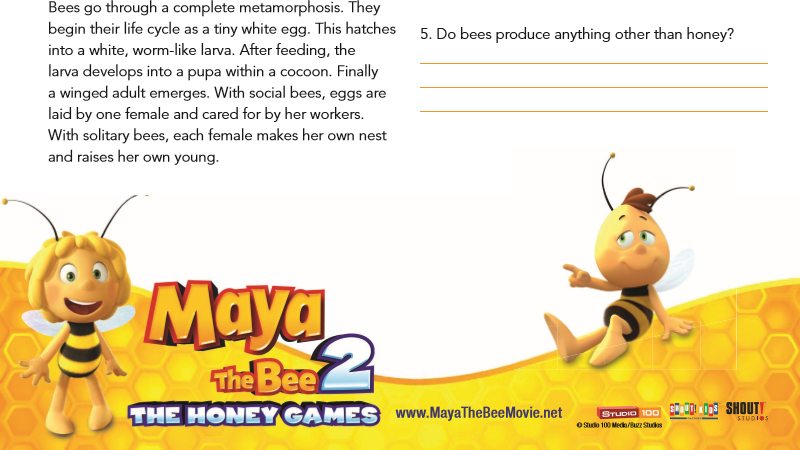 Bee Facts Worksheet - Free printable download from Maya The Bee
