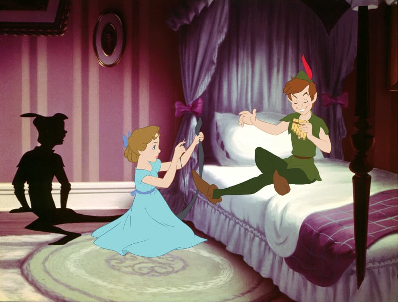 peter pan shadow repair