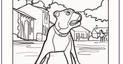 feature sgt stubby hero coloring page
