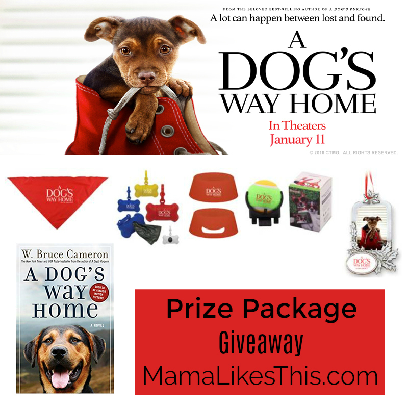 dogs way home giveaway