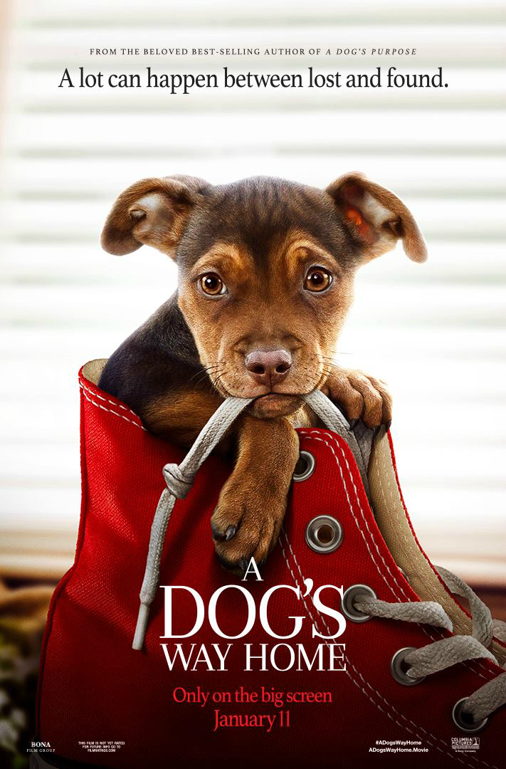 A Dog's Way Home Movie from the author of A Dog's Purpose #rwm #ADogsWayHome