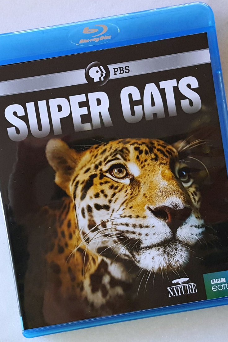 PBS Nature Super Cats Blu-ray - BBC Earth