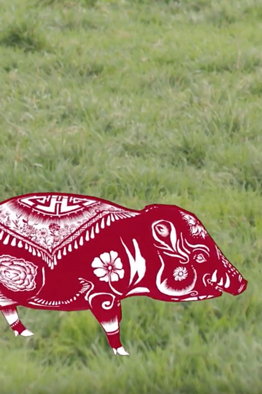 Krikey Augmented Reality Mobile Gaming App Celebrates The Year Of The Pig