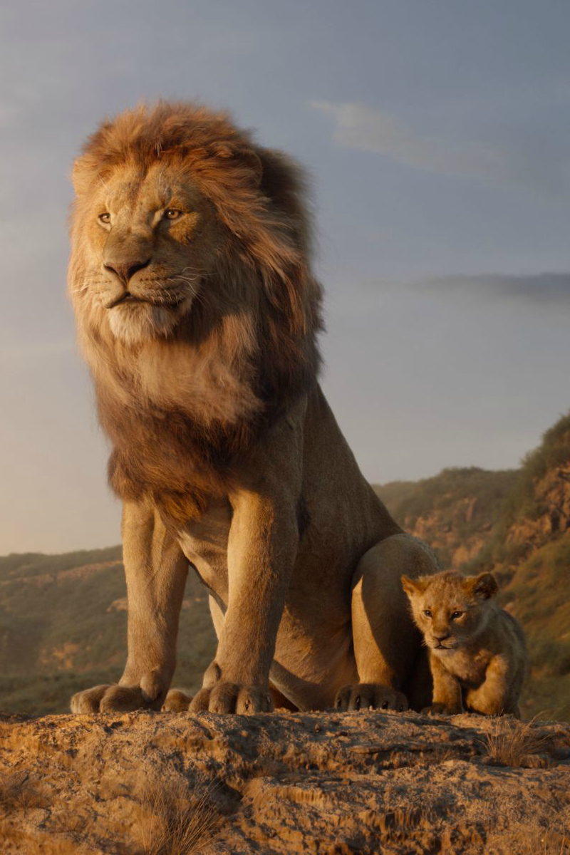 Disney Live Action Lion King Trailer Featuring Simba