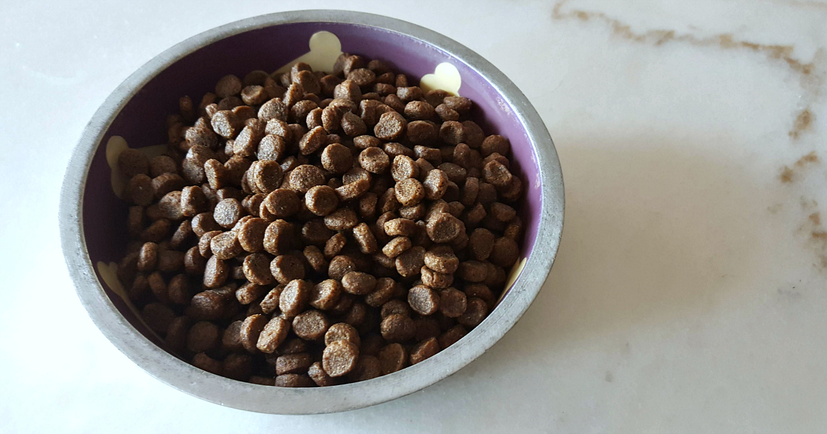 bowl of cat kibble