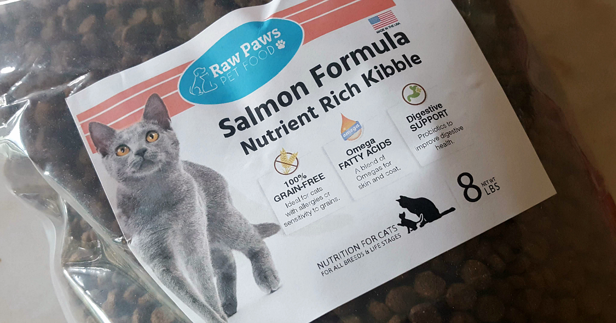 salmon formula raw paws cat food