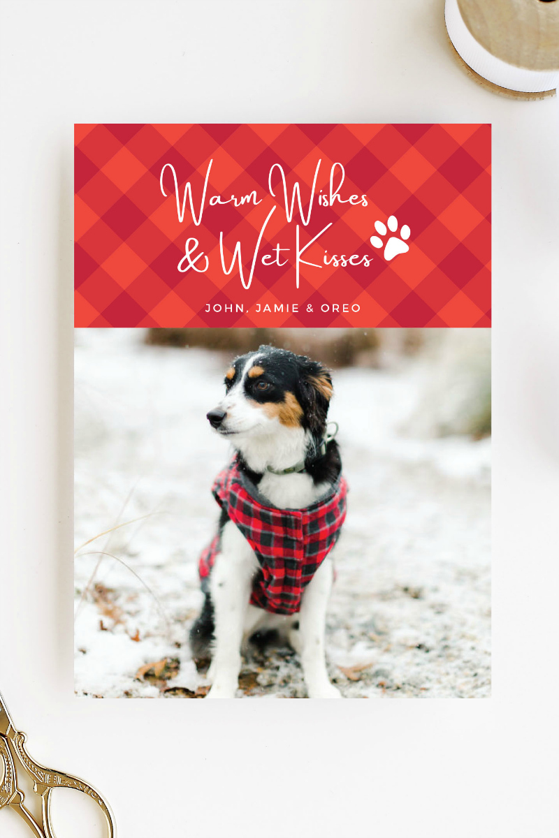 Personalized Holiday Photo Card with Picture of Adorable Dog