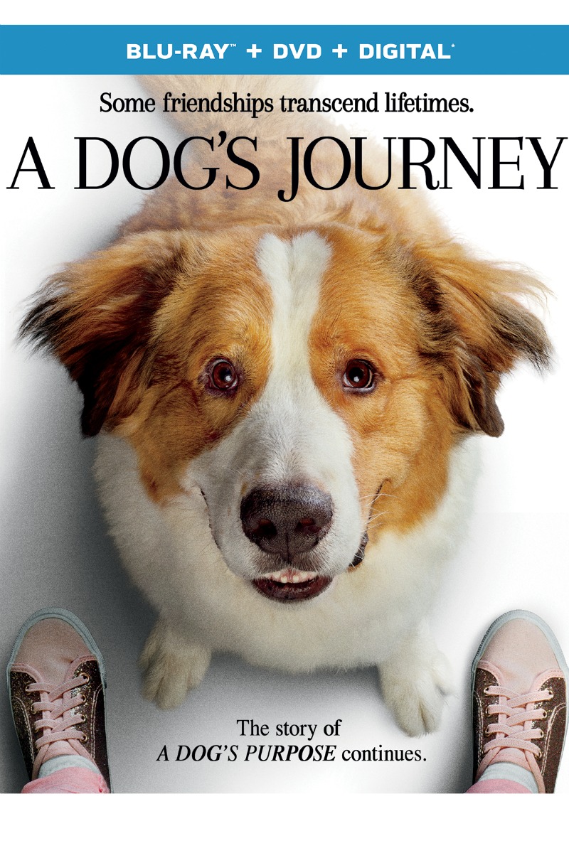 A Dog's Journey Blu-ray DVD - follow up movie to A Dog's Purpose