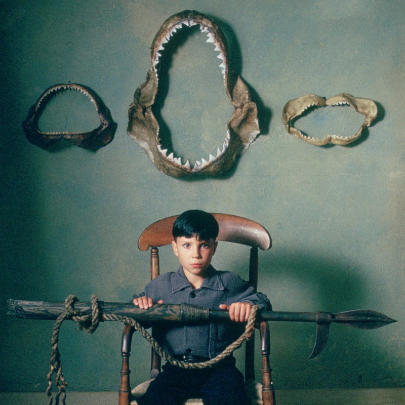 boy posing beneath shark jaws