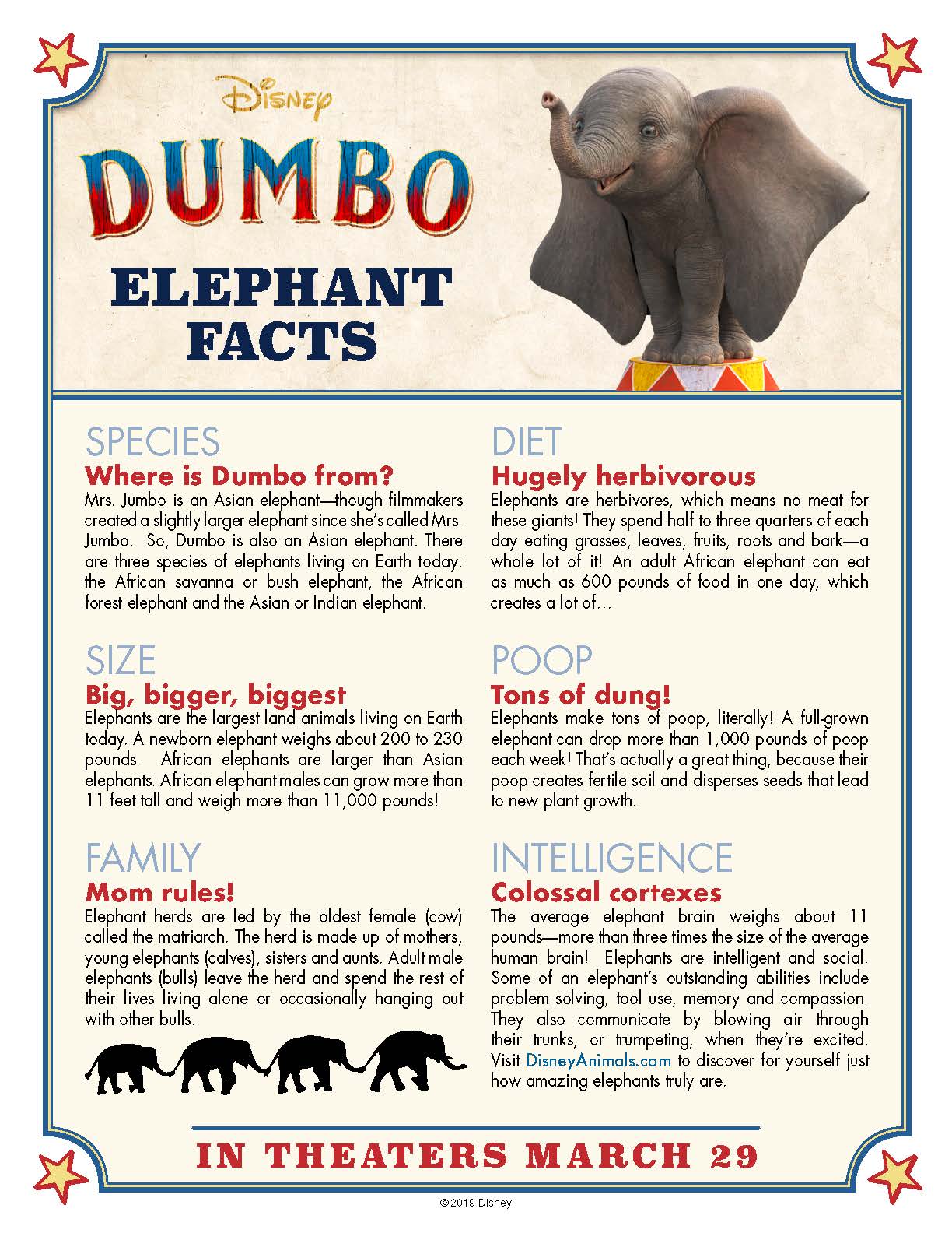 Dumbo Elephant Fun Facts from Disney - Free Educational Printable #elephant #disney #dumbo #freeprintable