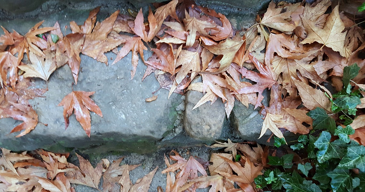 fall leaves on stone steps