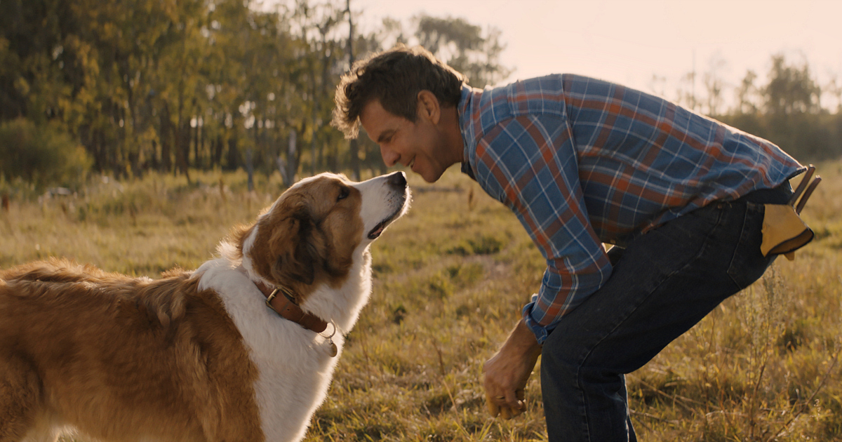 man and dog nose to nose