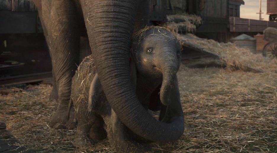 mom wrapping her trunk around dumbo