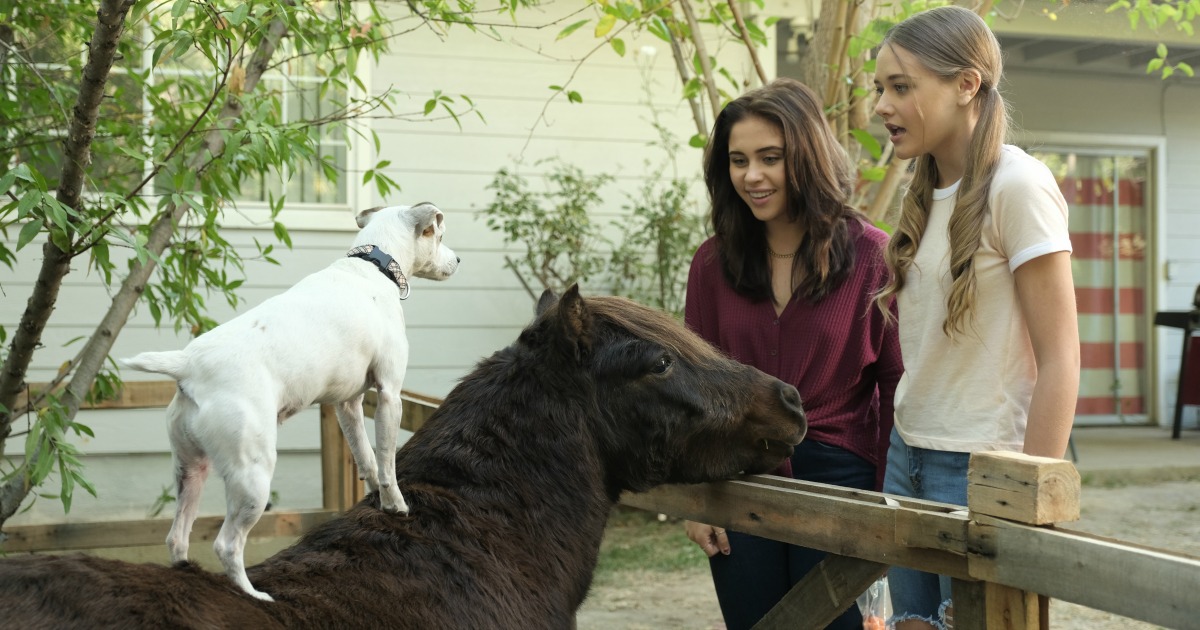 the girls with dally and spanky