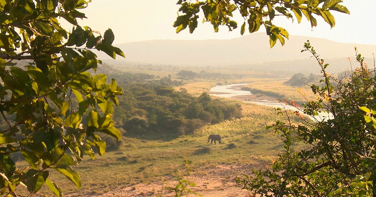 african landscape from sisters in the wilderness