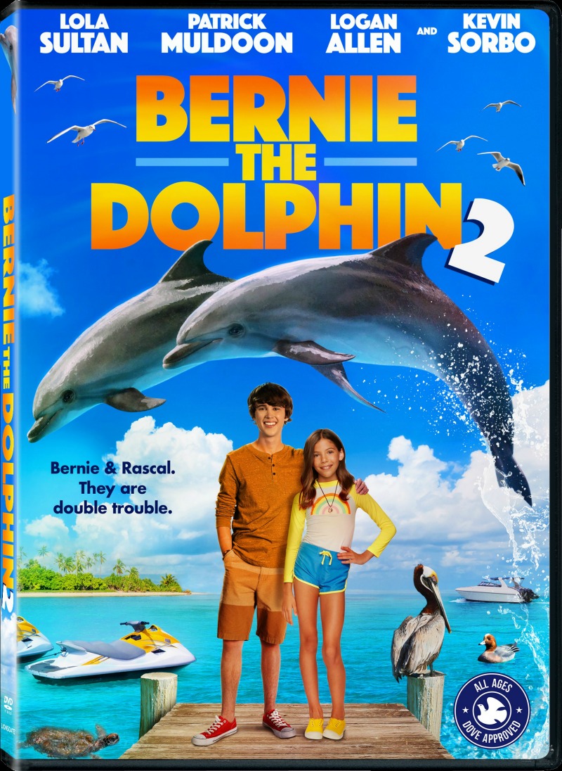 Bernie The Dolphin 2 Now on DVD