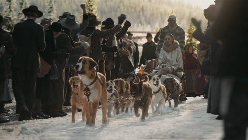 dog sled from call of the wild