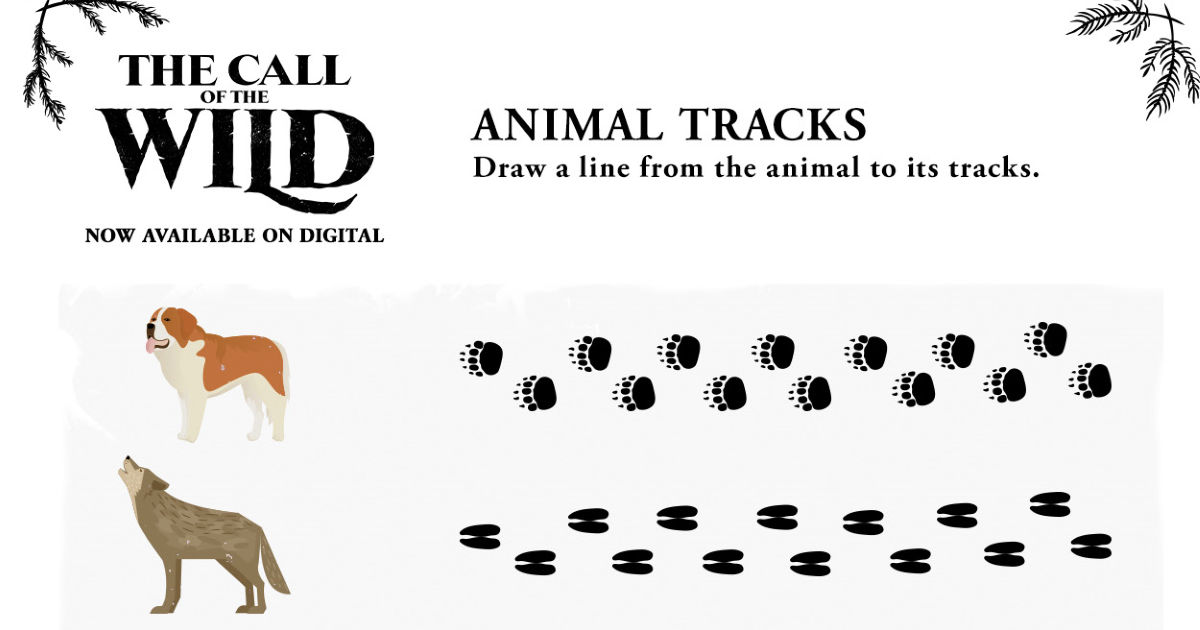 feature animal tracks activity page