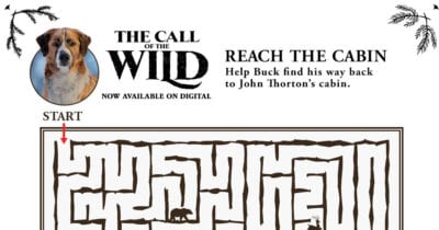 feature call of the wild maze